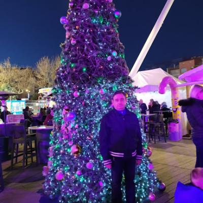 Le sapin éblouissant et brillant de milles feux sur le marché de Nöel du port